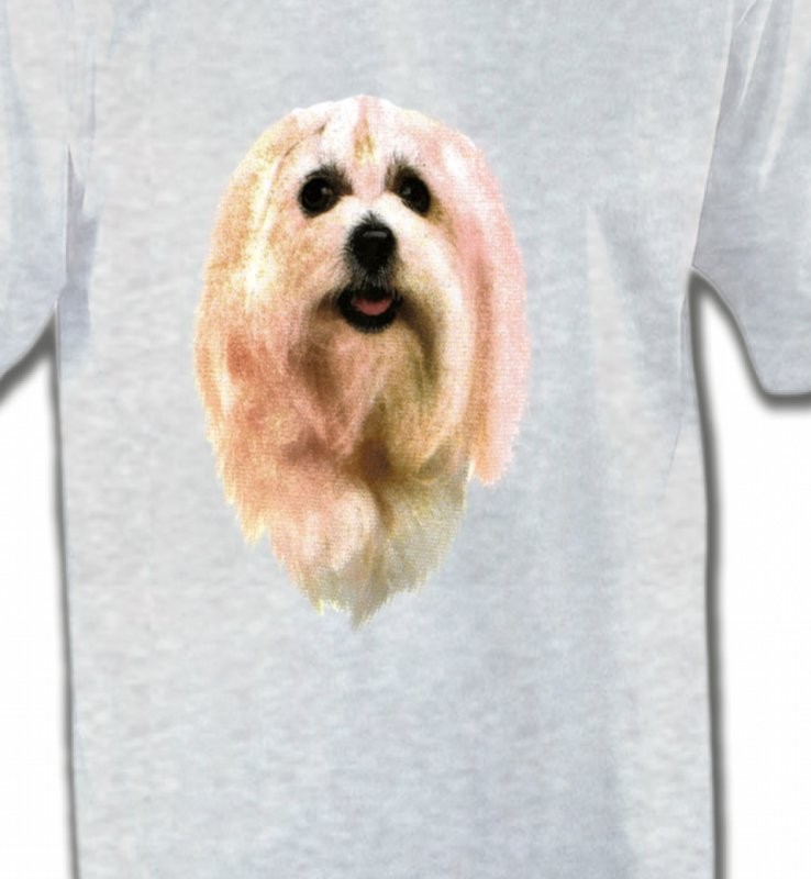 Bichon Maltais (D)