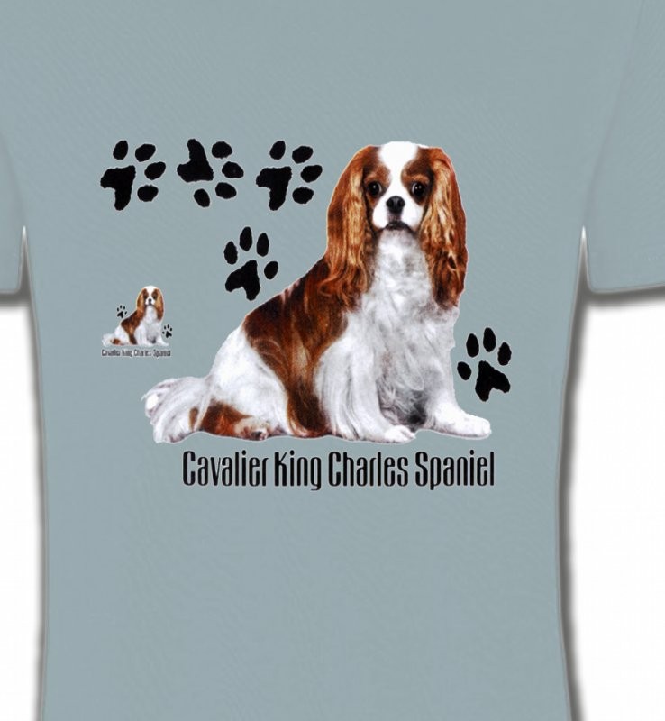 Cavalier King Charles (A)