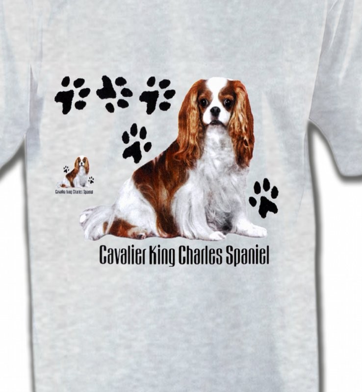 Cavalier King Charles (A)