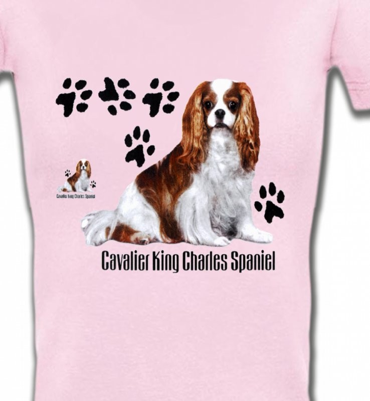 Cavalier King Charles (A)