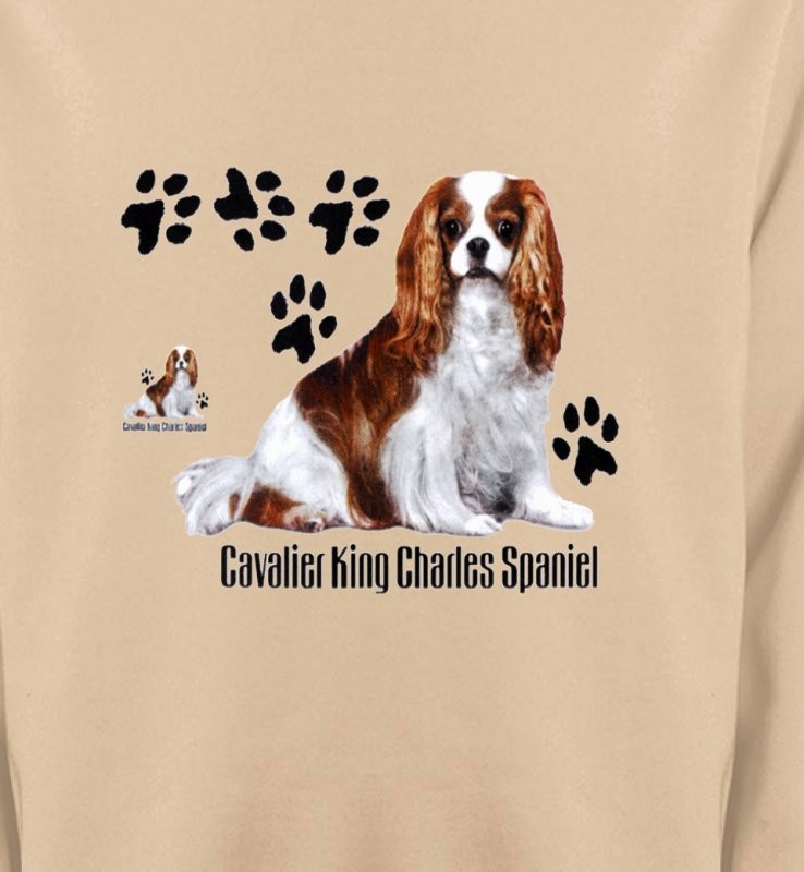 Cavalier King Charles (A)
