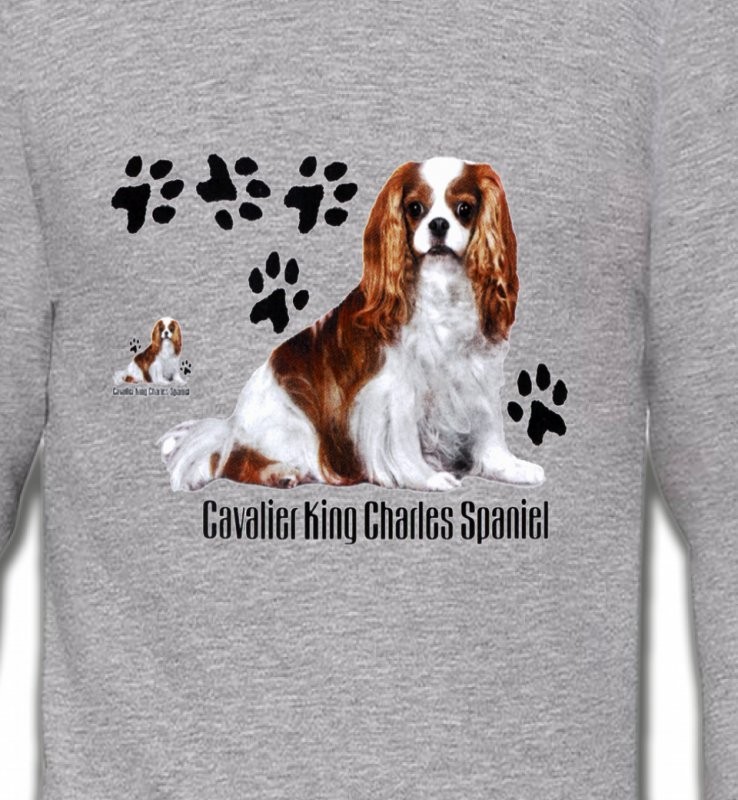 Cavalier King Charles (A)