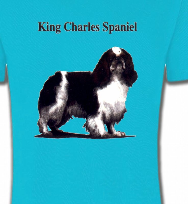 Cavalier King Charles Noir et Blanc (C)