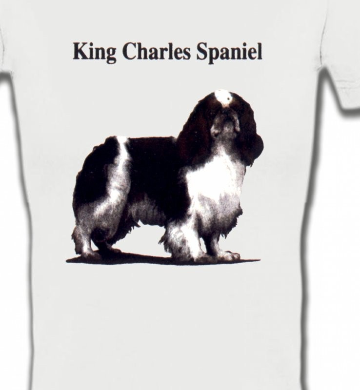 Cavalier King Charles Noir et Blanc (C)