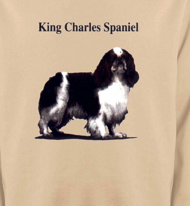 Cavalier King Charles Noir et Blanc (C)