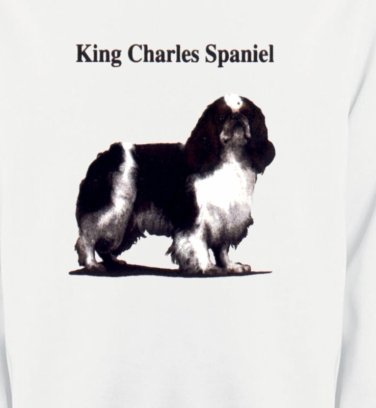 Cavalier King Charles Noir et Blanc (C)