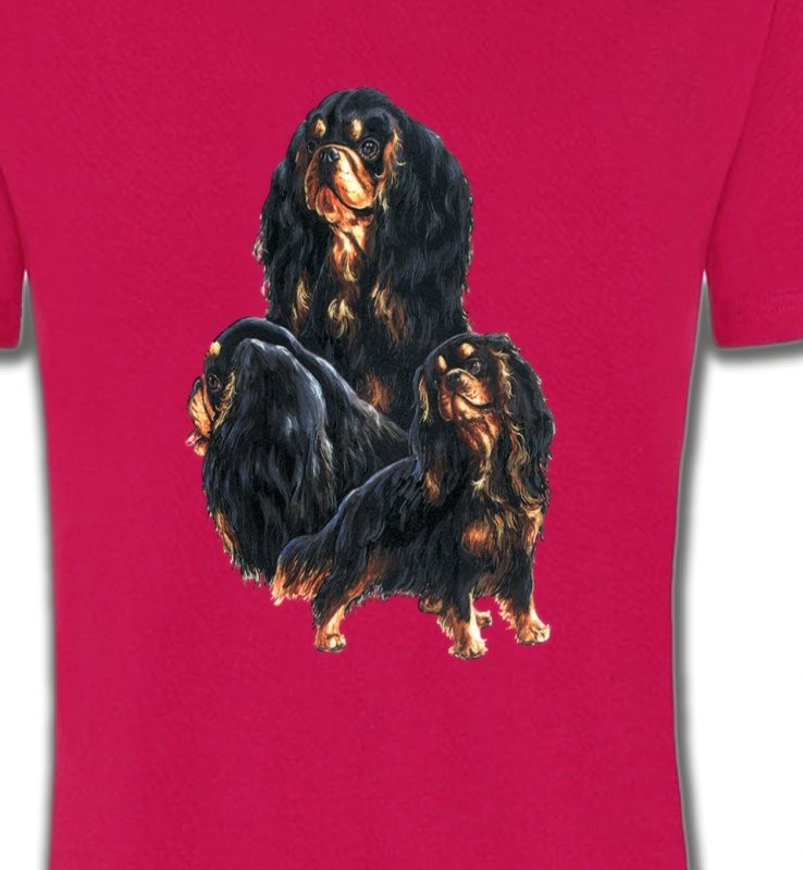 Cavalier King Charles Noir et Marron (D)