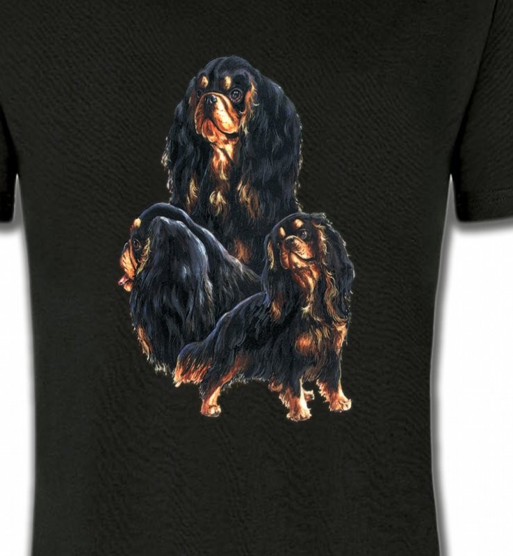 Cavalier King Charles Noir et Marron (D)