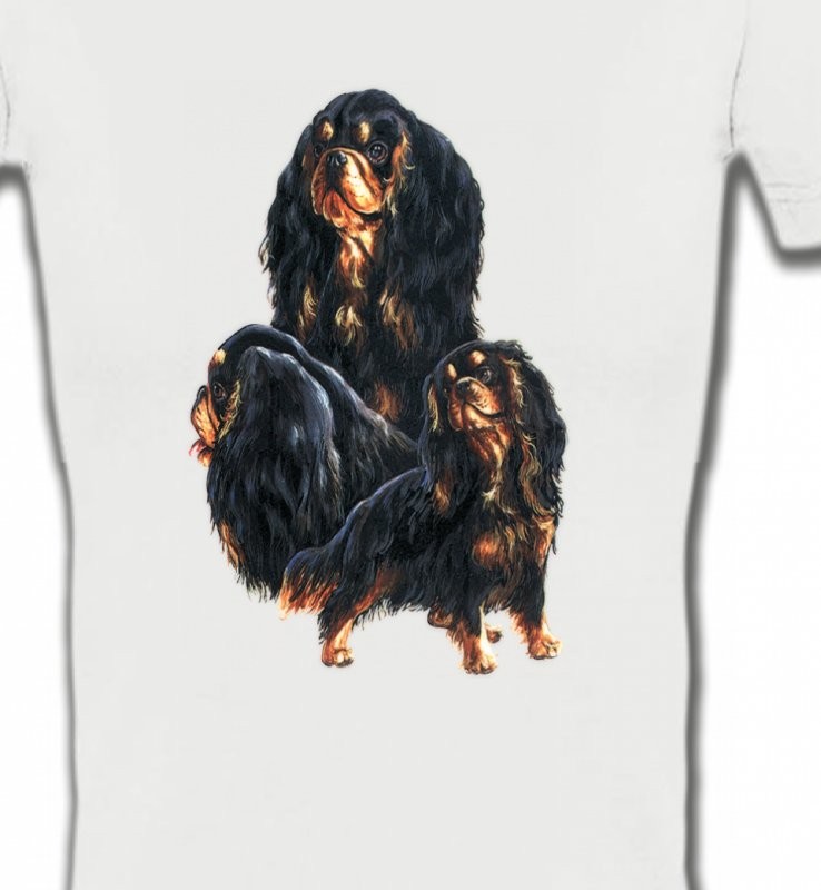 Cavalier King Charles Noir et Marron (D)