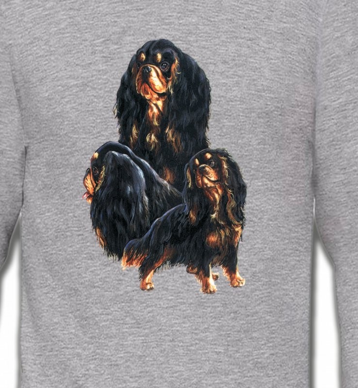 Cavalier King Charles Noir et Marron (D)