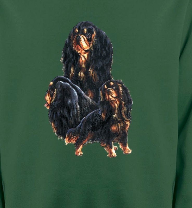 Cavalier King Charles Noir et Marron (D)