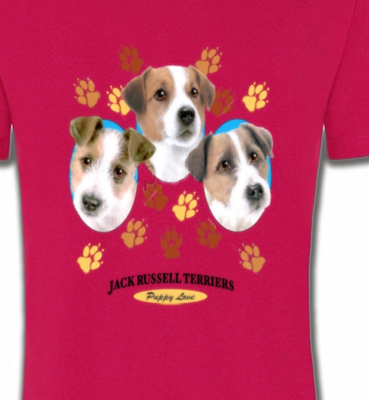 Jack Russell Terrier Chiots  (N)