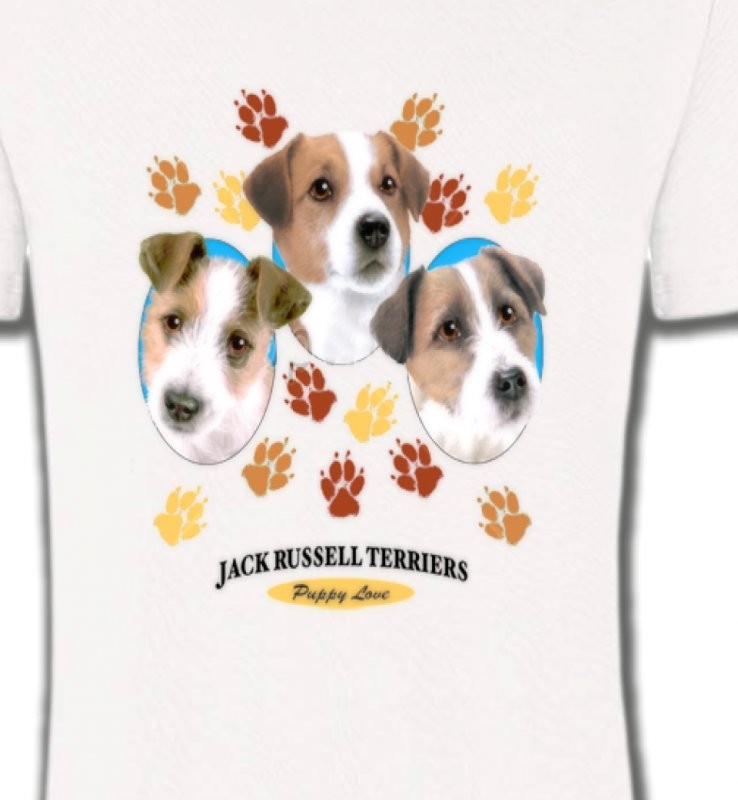 Jack Russell Terrier Chiots  (N)