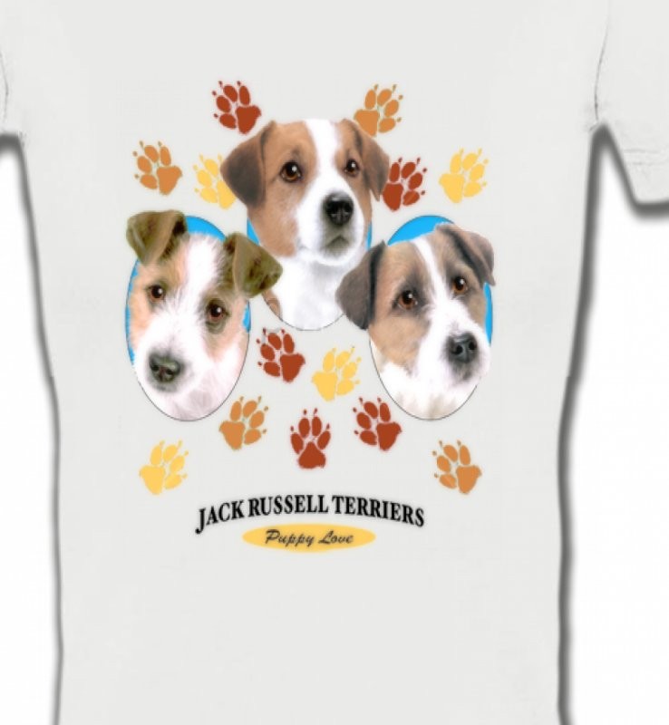 Jack Russell Terrier Chiots  (N)