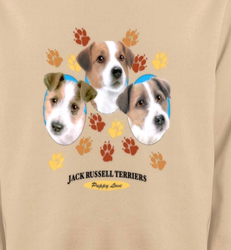 Jack Russell Terrier Chiots  (N)