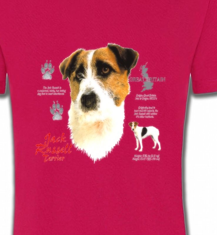 Jack Russell Terrier (C)