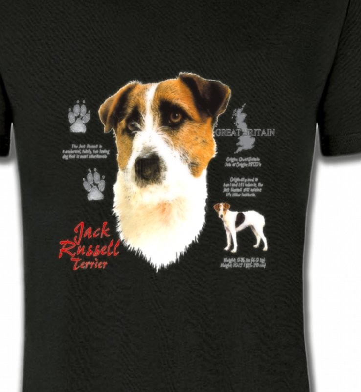 Jack Russell Terrier (C)
