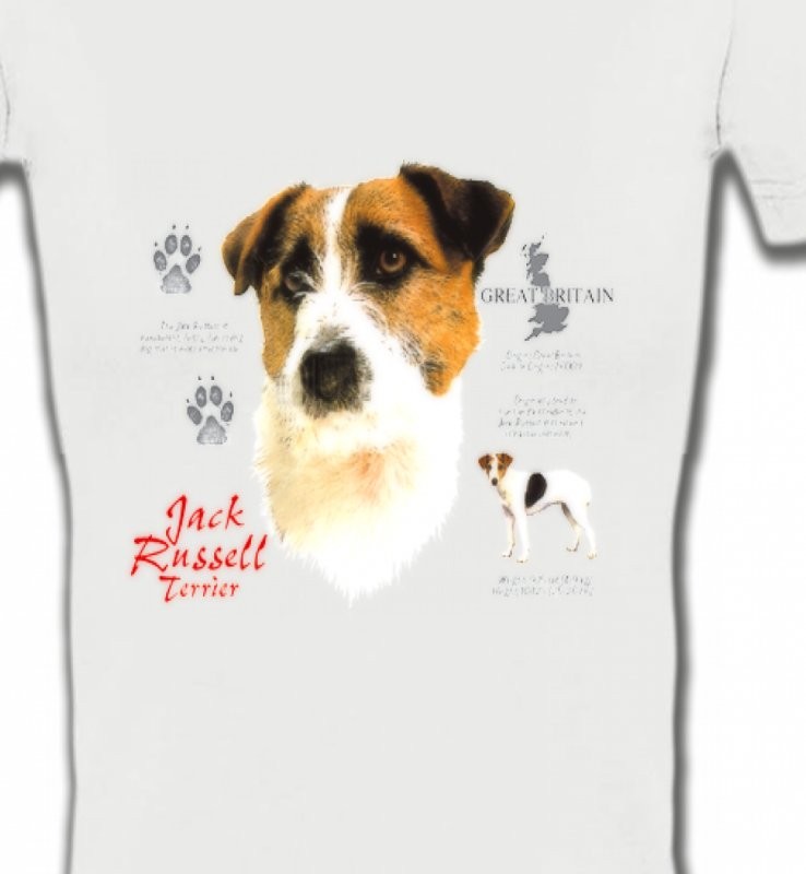 Jack Russell Terrier (C)