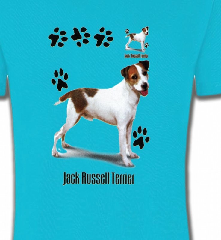 Jack Russell Terrier (D)