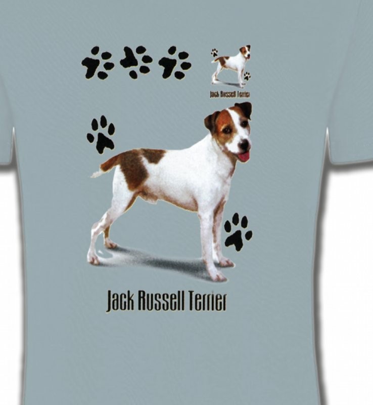 Jack Russell Terrier (D)