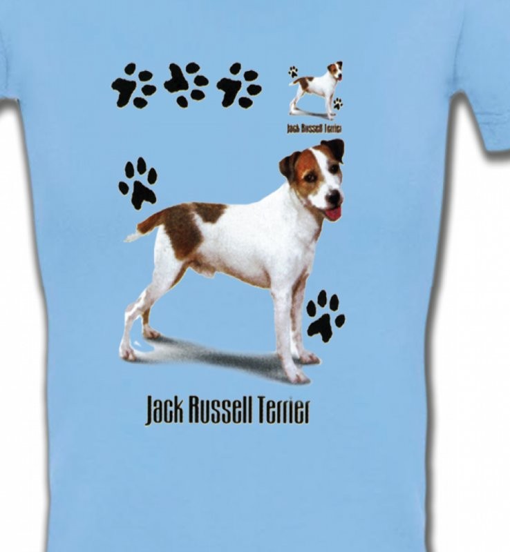 Jack Russell Terrier (D)