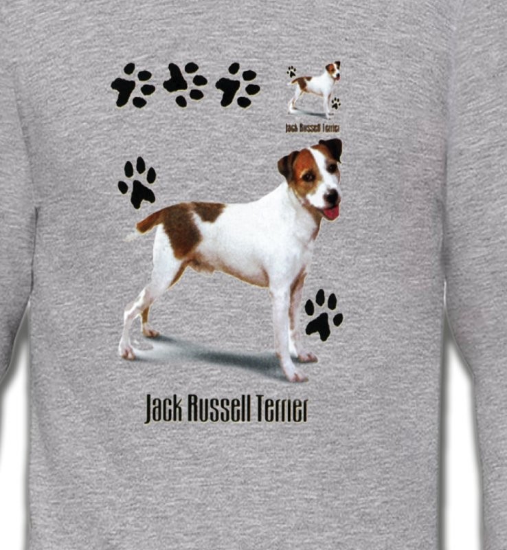 Jack Russell Terrier (D)