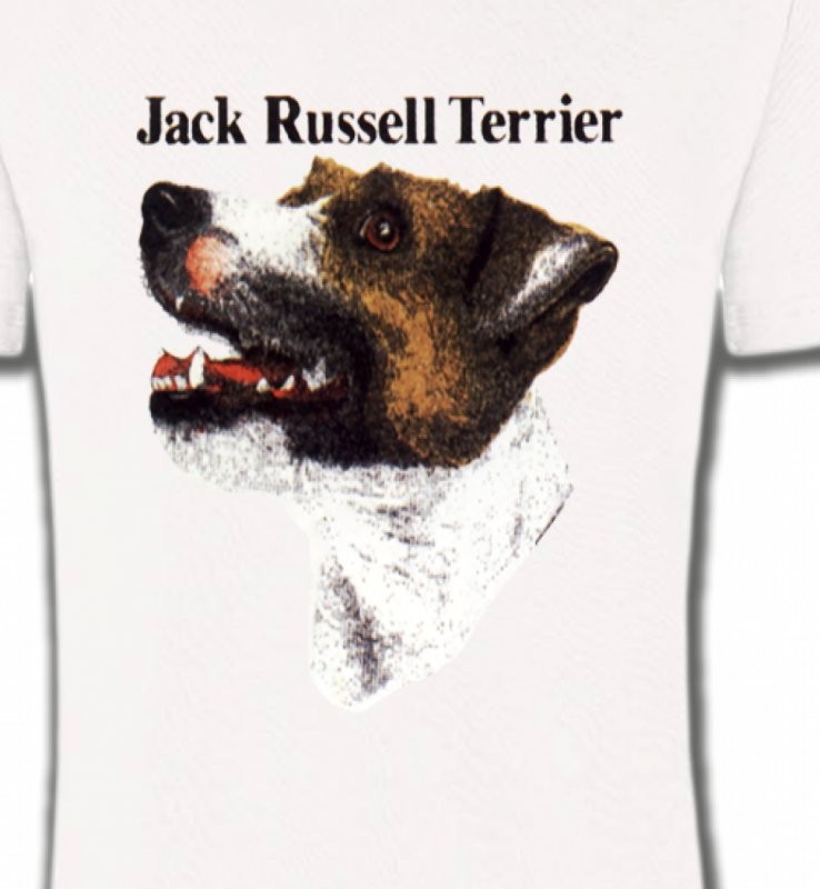 Jack Russell Terrier (I)