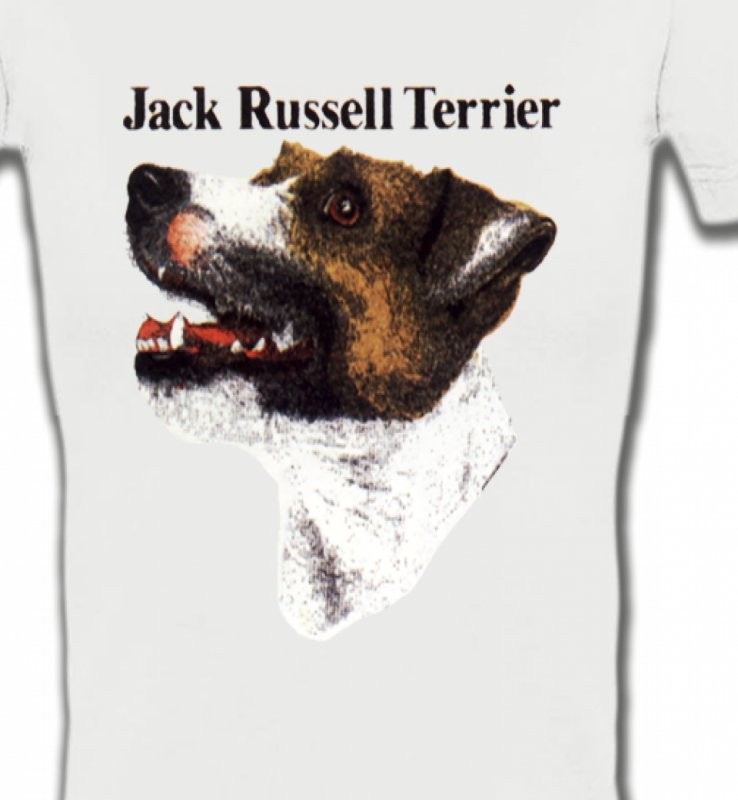Jack Russell Terrier (I)