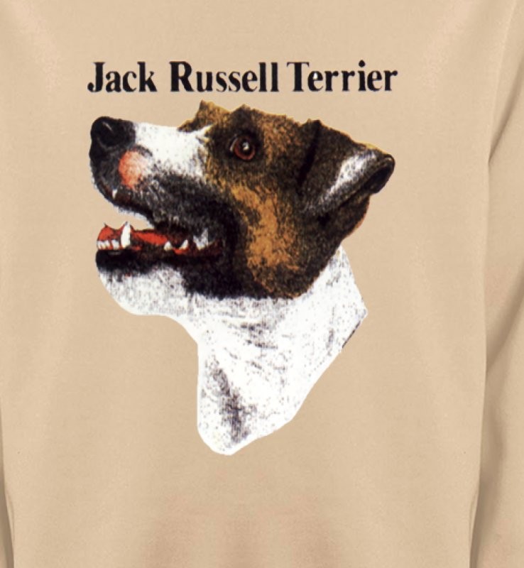 Jack Russell Terrier (I)