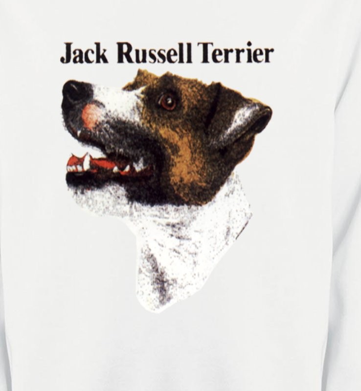 Jack Russell Terrier (I)