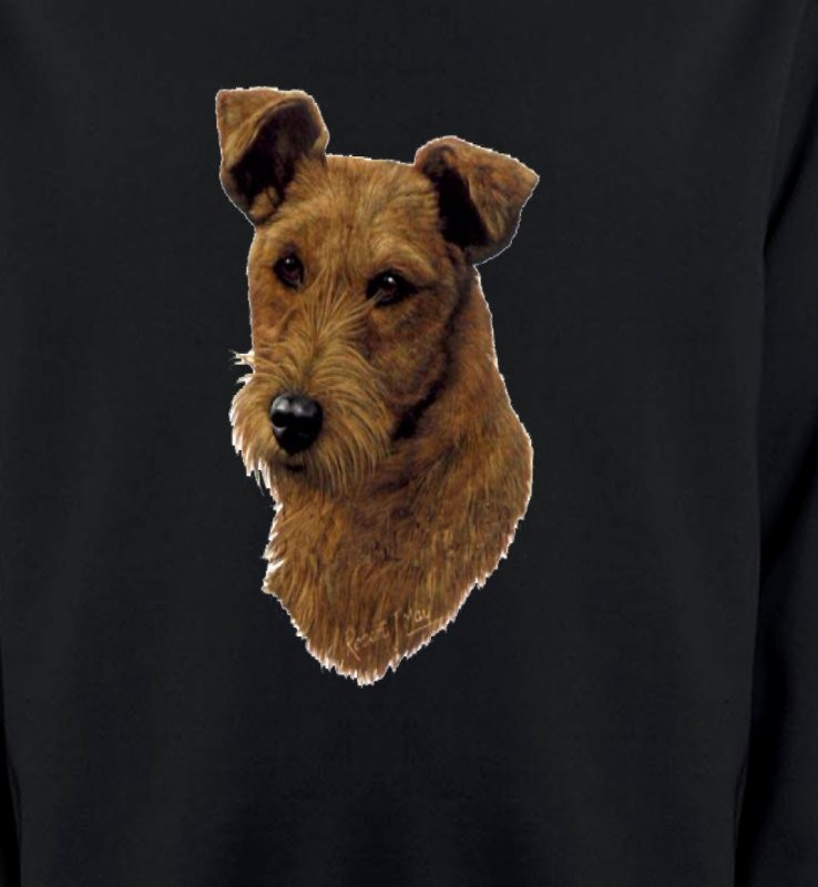 Terrier Irlandais (H)