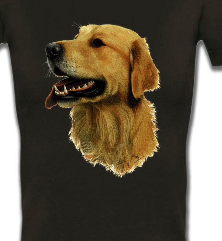 Tête de Golden Retriever (KG)