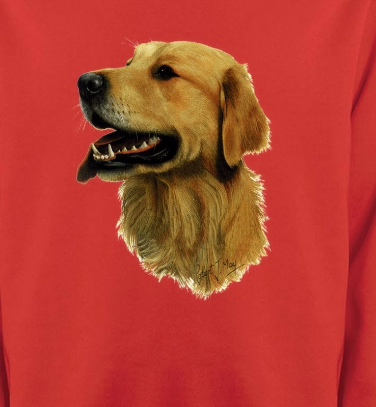 Tête de Golden Retriever (KG)