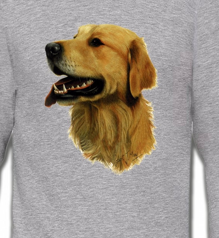 Tête de Golden Retriever (KG)