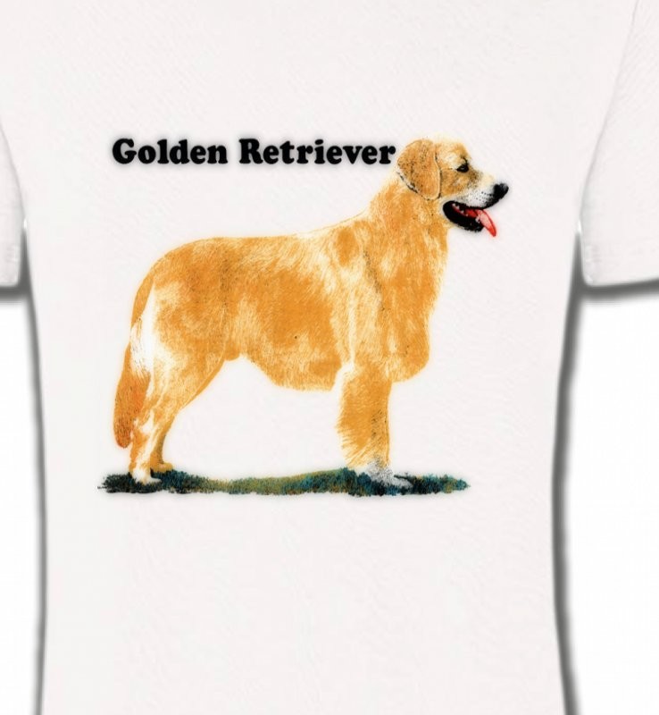 Golden Retriever (NG)