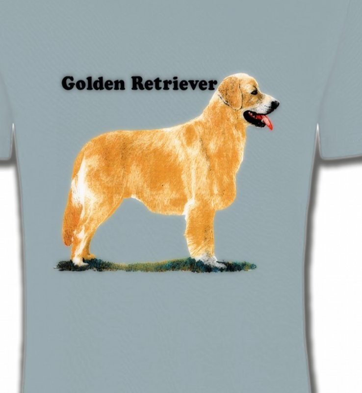 Golden Retriever (NG)