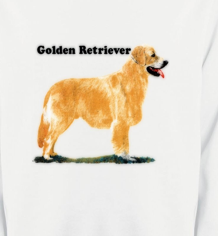Golden Retriever (NG)