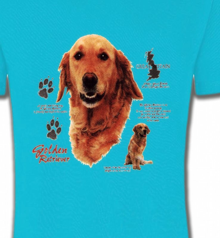 Golden Retriever (TG)