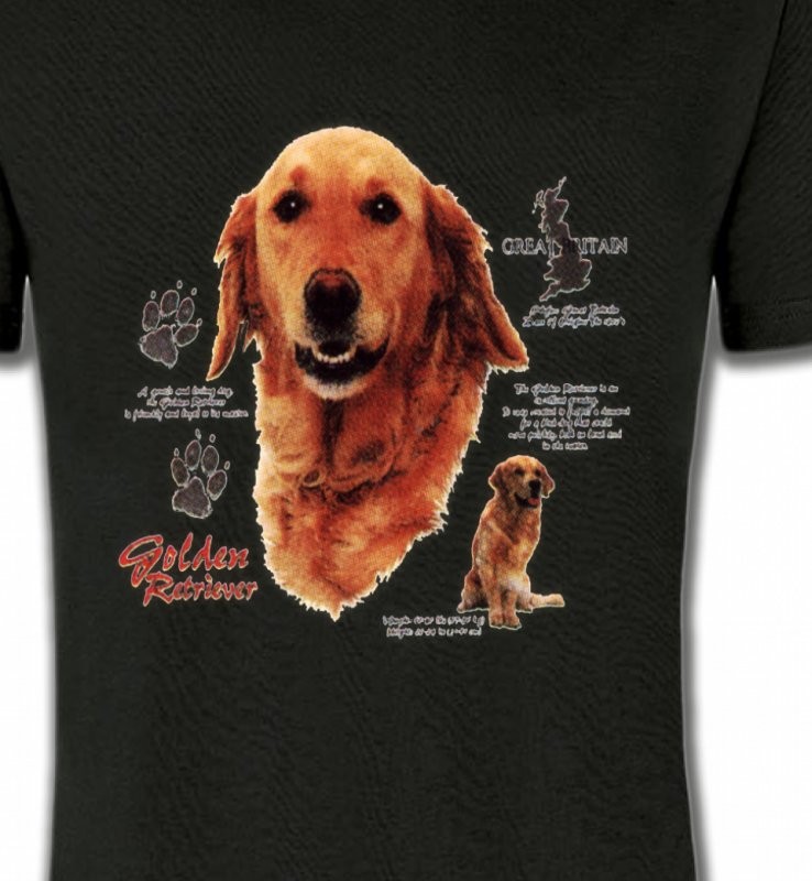Golden Retriever (TG)