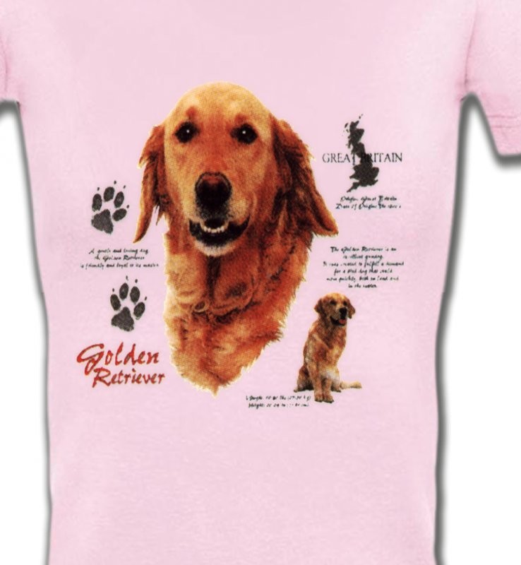 Golden Retriever (TG)