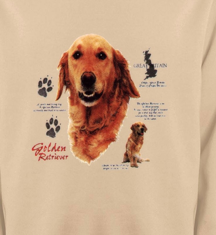 Golden Retriever (TG)