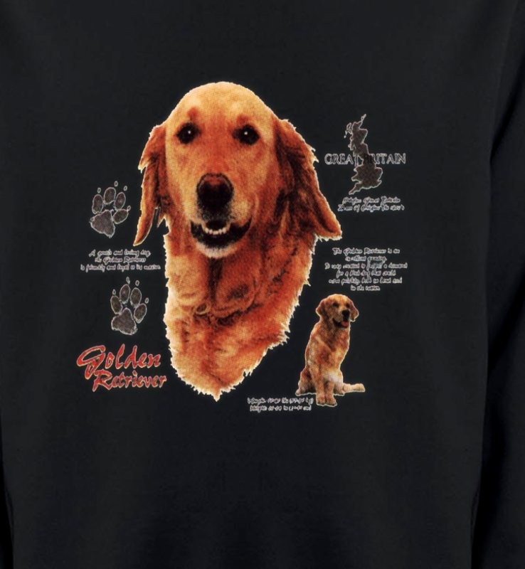 Golden Retriever (TG)