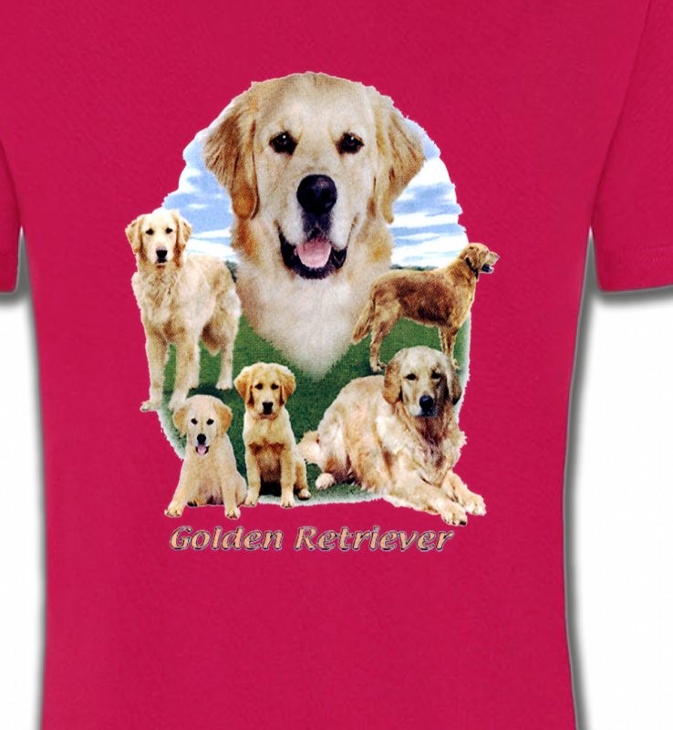 Golden Retriever Paysage (MG)