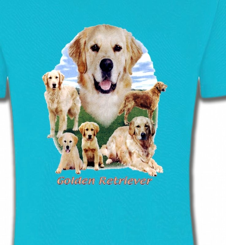 Golden Retriever Paysage (MG)