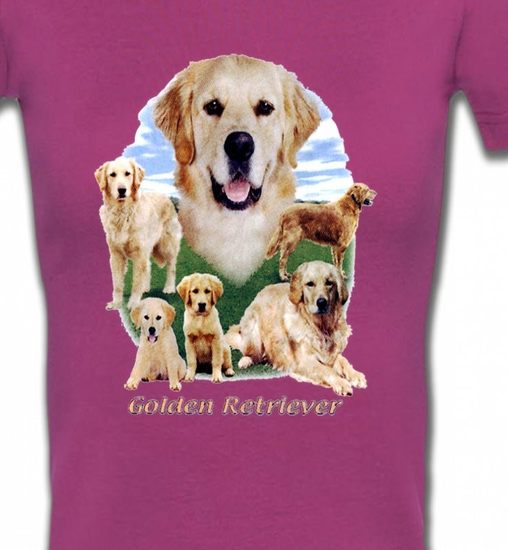 Golden Retriever Paysage (MG)