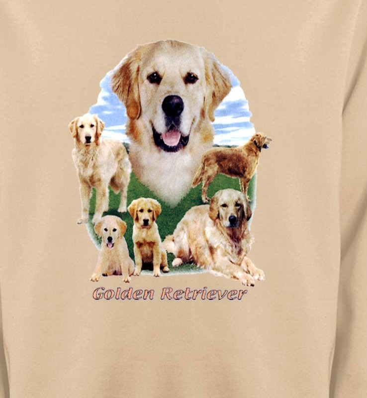 Golden Retriever Paysage (MG)