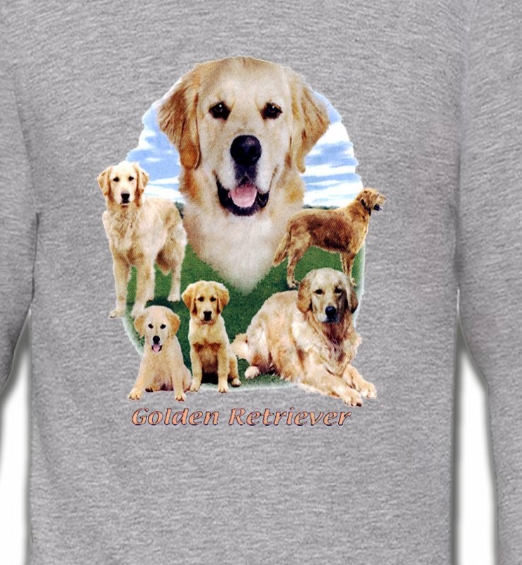 Golden Retriever Paysage (MG)