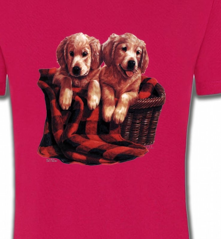 Golden Retriever Chiots (DG)