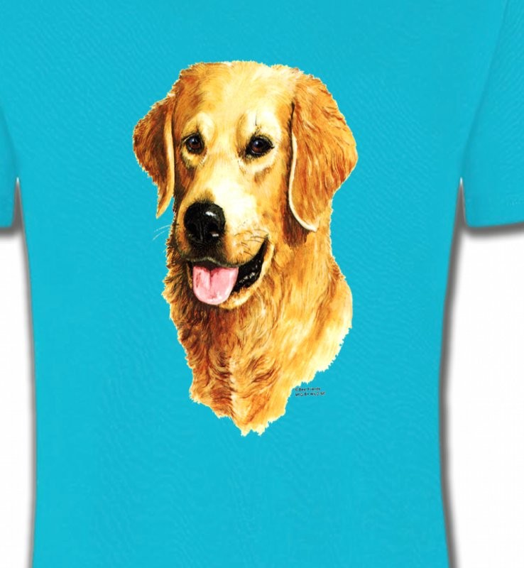 Tête de Golden Retriever (IBG)