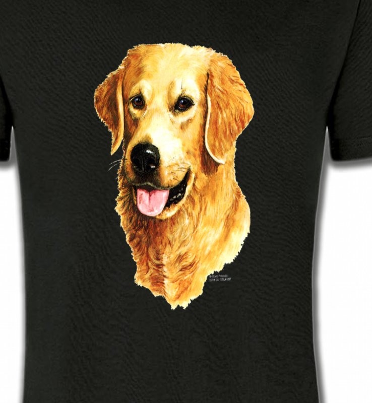 Tête de Golden Retriever (IBG)